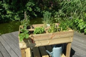 Diverse Tuin