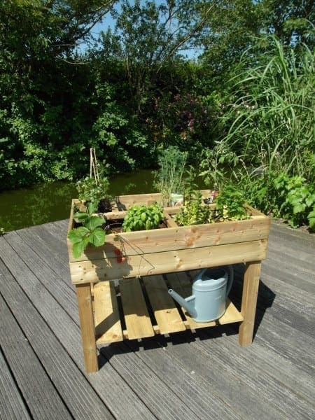 Diverse Tuin