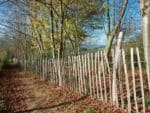 Kastanjehouten omheining - 7,5 à 8cm tussenafstand
