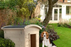 houten hondenhok M405